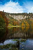 Herbstwald mit Spiegelung, Feldsee, Feldberg, Schwarzwald, Baden-Württemberg, Deutschland