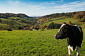 View from Hühnersedel into the Rhine Valley, autumn, near Freiamt, Freiburg im Breisgau, Black Forest, Baden-Württemberg, Germany