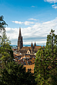 Freiburger Münster, Freiburg im Breisgau, Schwarzwald, Baden-Württemberg, Deutschland