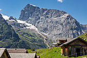 Alp Surenen in front of Urner Alps from Fürenalp, Stäuber, Engelberg, Switzerland