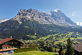 Schreckhorn hinter Grindelwald, Berner Oberland, Schweiz