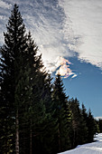 Sonnenhalo in Eiskristalle, irisierende Wolke, Winklmoos-Alm, Bayern, Deutschland