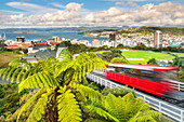 Seilbahn, Blick über Wellington, Nordinsel, Neuseeland, Pazifik