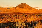 Mount Ngauruhoe, Tongariro National Park, UNESCO World Heritage Site, North Island, New Zealand, Pacific