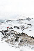 Wanderer, der auf Felsen während des arktischen Schneesturms, Sandfjord, Berlevag, Varanger-Halbinsel, Troms og Finnmark, Norwegen, Skandinavien, Europa geht
