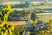Straße und früher Morgennebel, Dordogne nr Château de Castelnaud, Dordogne, Aquitanien, Frankreich