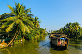 Kerala houseboat cruising the palm fringed backwaters on a typical tourist cruise, Alappuzha (Alleppey), Kerala, India, Asia