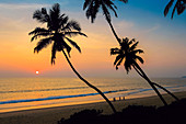 Lehnende Palmen bei Sonnenuntergang am schönen unberührten Kizhunna-Strand, südlich von Kannur an der Nordküste des Staates, Kannur, Kerala, Indien, Asien