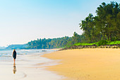Lone traveller on lovely palm-fringed Kizhunna Beach, south of Kannur on Kerala's north coast, Kizhunna, Kannur, Kerala, India, Asia