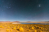 Starry night at Salar de Tara y Aguas Calientes I, Los Flamencos National Reserve, Antofagasta Region, Chile, South America