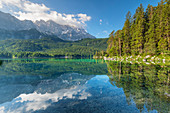 Eibsee gegen Zugzugspitze, 2962m, und Wetterstein, Grainau, Werdenfelser Land, Oberbayern, Deutschland, Europa