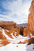 Hoodoos vom Navajo-Rundweg, Bryce Canyon-Nationalpark, Utah, USA