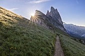 Sunburst bei Seceda während Sonnenaufgang, Gruppo delle Odle, Dolomiti di Gardena, Bozen, Trentino Südtirol, Italien, Südeuropa
