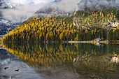 Kapelle und Reflexionen am Braies See während des Herbstes bei Sonnenaufgang, Braies, Bozen, Trentino Südtirol, Italien, Westeuropa
