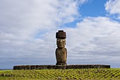 Ahu Ko Te Riku, Archäologischer Komplex von Tahat, Rapa Nui, Osterinsel, Chile.
