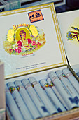 Detail von Kuba-Zigarren in einer Schachtel in Havanna, Kuba