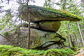 Granitfelsen im Böhmerwald, Oberes Mühlviertel, Oberösterreich, Österreich