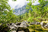 Gosaulacke im Salzkammergut, Oberösterreich, Österreich