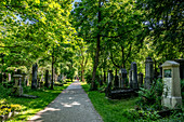 Historische Grabsteine im Friedhof Alter Südfriedhof, Glockenbachviertel München, Bayern, Deutschland