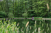 Mann entspannt am Ufer von Teich mit Gräsern im Vordergrund, Kleinostheim, Spessart-Mainland, Franken, Bayern, Deutschland, Europa