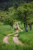 Young woman rides horse along field path through lush spring meadow, Heimbuchenthal, Räuberland, Spessart-Mainland, Franconia, Bavaria, Germany