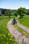 Mann fährt Fahrrad für Querschnittsgelähmte auf Feldweg durch üppige Frühlingswiese, Heimbuchenthal, Räuberland, Spessart-Mainland, Franken, Bayern, Deutschland, Europa