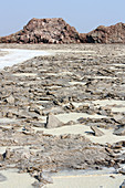 Ethiopia; Afar region; Danakil Desert; Danakil Depression; salty soils around Lake Karum; rocky landscape
