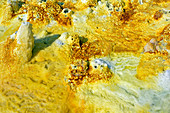 Ethiopia; Afar region; Danakil Desert; Danakil Depression; Dallol geothermal area; sulphurous salt crusts in yellow and red color; hot water and gases come out of the openings