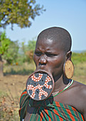 Ethiopia; Southern Nations Region; Mago National Park; lower Omo River; Mursi woman with lip plate and earrings;