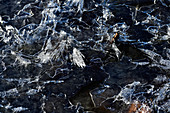Eiskristalle auf einem gefrorenen See im Sonnenlicht, Grimsholmen, Halland, Schweden
