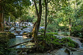 Natural pools under waterfalls at the Kuang Si Falls, Kuang Si, Luang Prabang Province, Laos, Asia