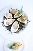 France, Paris, Guy Savoy restaurant, Hotel de la Monnaie de Paris, ice-cold oysters recipe