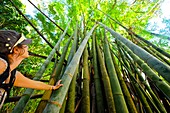 Frankreich, Insel Reunion, Salazie, Bambus in der Nähe der ehemaligen Thermalbäder von Herll Bourg, von der UNESCO zum Weltkulturerbe erklärt