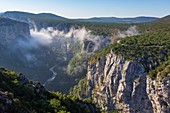 Frankreich, linkes Var-Ufer und rechtes Alpes-de-Haute-Provence-Ufer, Verdon Regionaler Naturpark, Verdon-Schlucht, Grand Canyon, Morgennebel