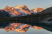 Frankreich, Hautes Alpes, Ecrins National Park, die Zuflucht und der See Goleon (2438 m) im Oisans-Massiv mit La Meije und dem Râteau (3809 m) im Hintergrund