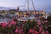 Frankreich, Bouches du Rhone, La Ciotat, der Hafen in der Abenddämmerung, Nerium Oleander, Blumen