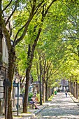 France, Paris, the Montmartre cemetery