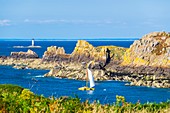France, Ille-et-Vilaine, Emerald Coast, Cancale, Pointe du Grouin, view over Landes island and Pierre-de-Herpin lighthouse