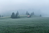 Hut in the fog, Loški Potok, Slovenia