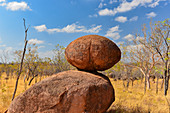 Runde Felsen mitten im Outback, Pine Creek, Northern Territory, Australien