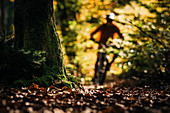 Mountainbiker fährt durch herbstlichen Wald