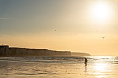 Frankreich, Somme, Bucht der Somme, Picardieküste, Ault, ein Schlammwurmfischer am Strand am Fuße der Klippen