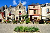 Frankreich, Morbihan, Rochefort en Terre, beschriftet mit den schönen Dörfern Frankreichs (Die schönsten Dörfer Frankreichs), Place du Puits