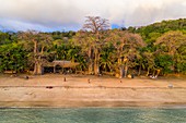 Frankreich, Insel Mayotte (französisches Übersee-Departement), Grande Terre, Kani Keli, der Maore-Garten, Affenbrotbaum (Adansonia digitata) am Strand von N'Gouja (Luftaufnahme)
