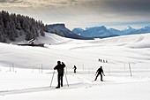 France, Haute Savoie, massive Bauges, the Semnoz plateau above Annecy and its cross country ski trails and the Margeriaz mountain