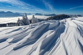Frankreich, Haute Savoie, massive Bauges, oberhalb von Annecy an der Grenze zur Savoie, das außergewöhnliche Belvedere des Semnoz-Plateaus auf den Nordalpen, Schneelandschaft, geformt von Wind und Wolkenmeer