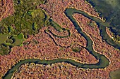 Frankreich, Bouches du Rhone, Regionaler Naturpark von Camargue, Port Saint Louis von der Rhone, Mündung der Rhone, They de la Gracieuse (Luftaufnahme)