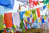 Buddhist prayer flags, Chelela Pass, Himalayas, Bhutan, Asia