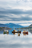 Fischerboote, Bucht von Ullapool, Ross und Cromarty, Hochland, Schottland, Vereinigtes Königreich, Europa