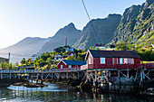 Typische rote Häuser im Dorf A, Lofoten, Nordland, Norwegen, Skandinavien, Europa
